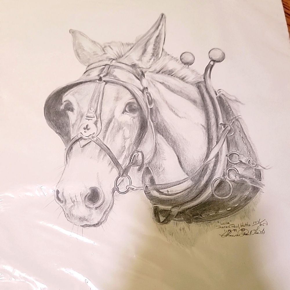 Original‎ Drawing Of "Lucille" Horse By Sharon Paul Hutto